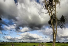 无畏之刀锋劈开对手稳操胜券：一把让胜利触手可及的利刃