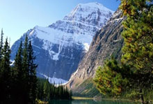 蟒蛇队稳拿胜利让对手望尘莫及