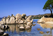 无畏之刀锋劈开对手稳操胜券：一把让胜利触手可及的利刃